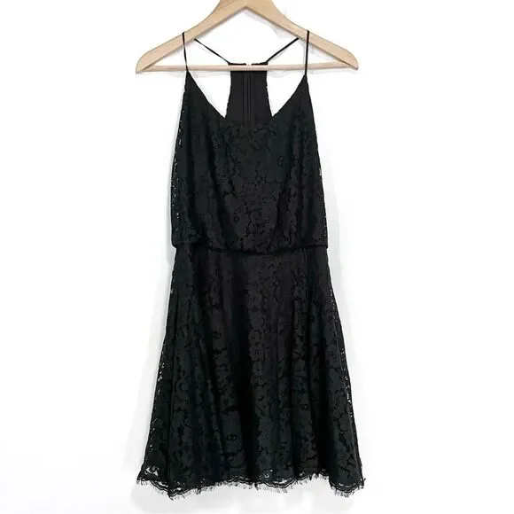 Joie Nanon B Black Lace Dress Fit and Flare Mini Dress S - Picture 2 of 9